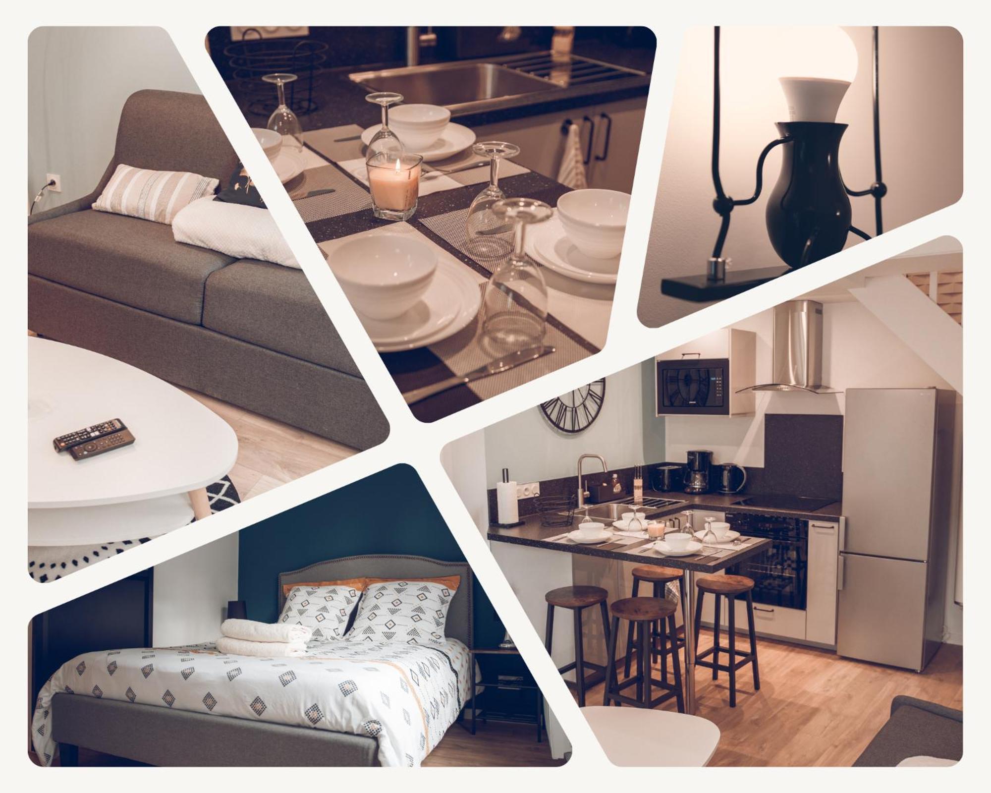 Lebeaubrun_ Hypercentre_ Duplex Apartment Amboise